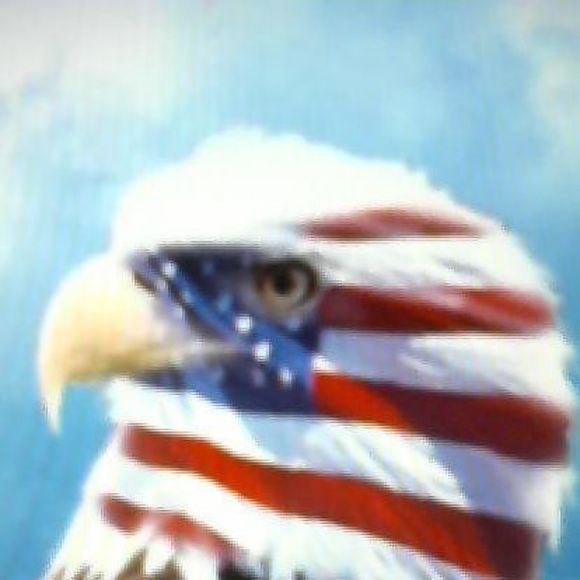 Meet your Posher, Benton - Picture 1 of 1